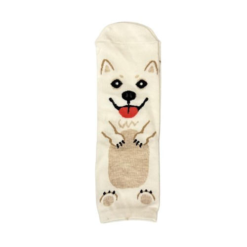 skarpetki - samoyed.jpg