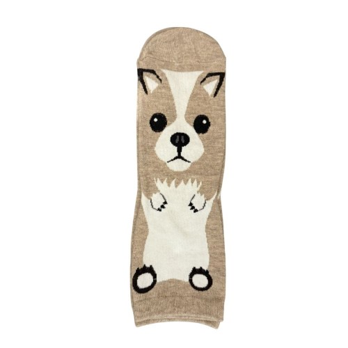 skarpetki - chihuahua.jpg