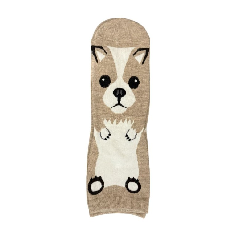 skarpetki - chihuahua.jpg