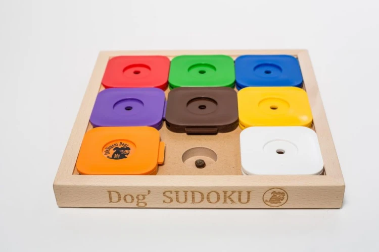 Dog Sudoku Rainbow.JPG