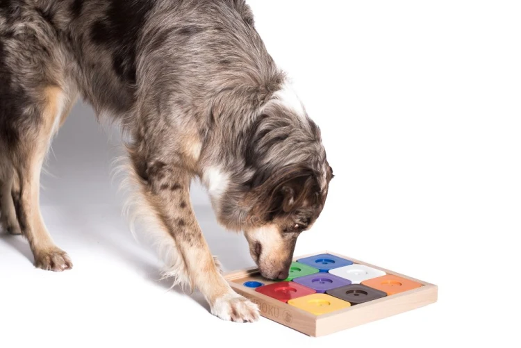 Sudoku Medium Expert Rainbow_pies2.jpg