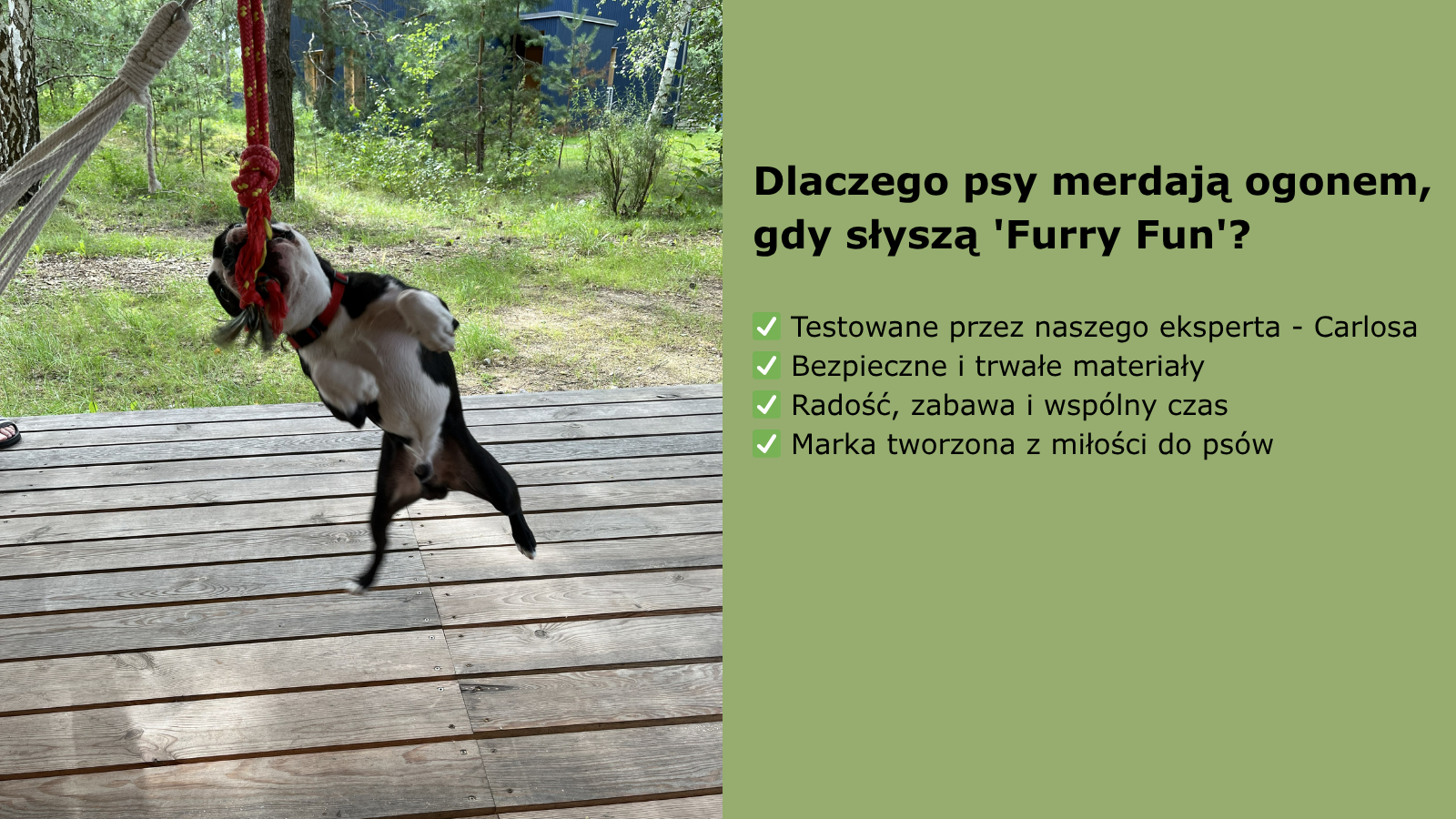 Dlaczego Furry Fun