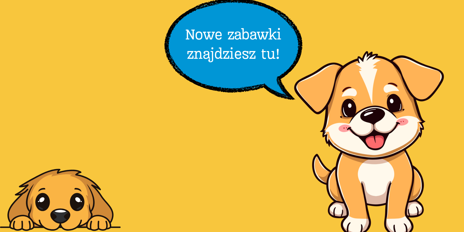 Nowości